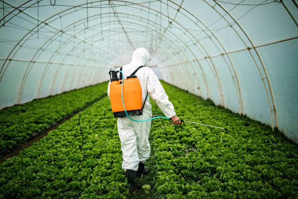 Best Pest Inspection Near Me  in Clifton Springs, NY
