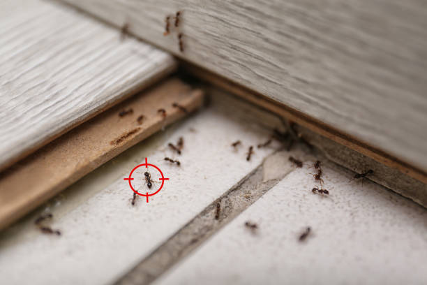 Best Wildlife Control Services  in Clifton Springs, NY