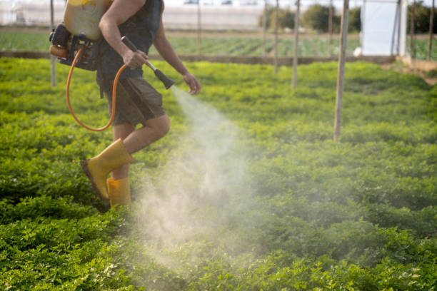  Clifton Springs, NY Pest Control Pros