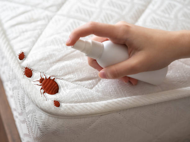 Best Local Pest Control Services  in Clifton Springs, NY
