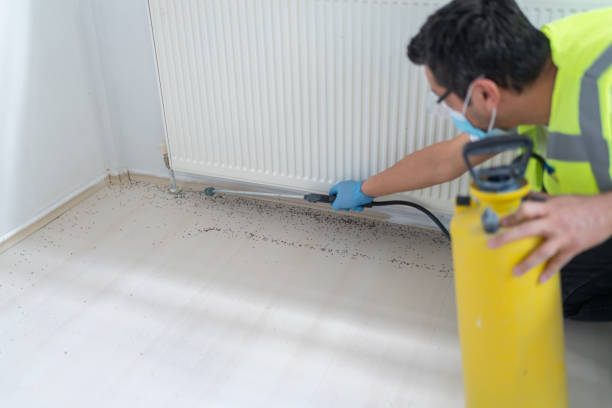 Best Cockroach Control Services  in Clifton Springs, NY