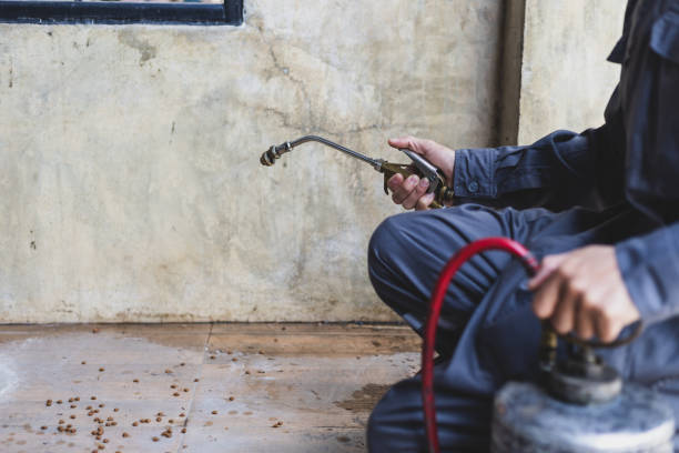 Professional Pest Control in Clifton Springs, NY
